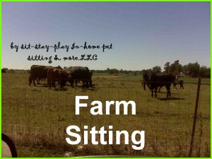 farm sitting, livestock care, hobby farms in Muncie, Yorktown, Anderson, Indiana