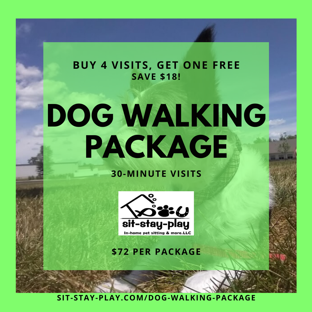 Spring 2024 Dog Walking Packages Benefits Image to u