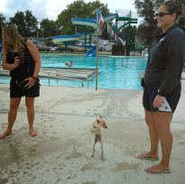 Drool in the Pool at Tuhey's