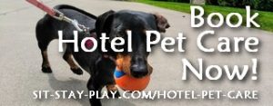 book hotel pet care now