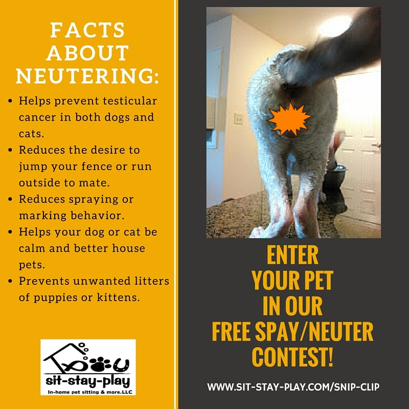 SnipClip Free Spay And Neuter Contest