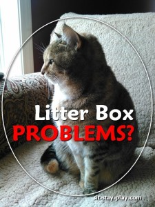 litter box problems