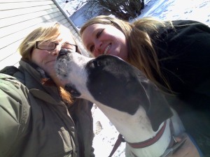 kisses from Marley the Great Dane