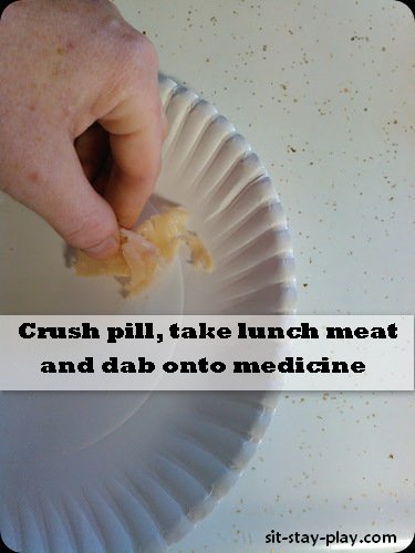 how to pill a cat using lunch meat