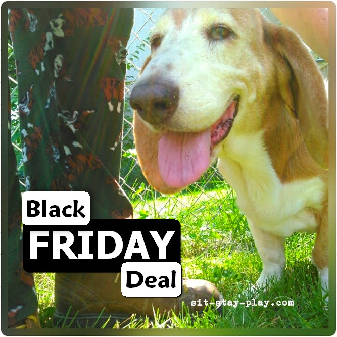 Get Your Black Friday Pet Care Bonus Today!