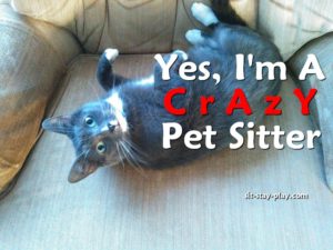 crazy-pet-sitter