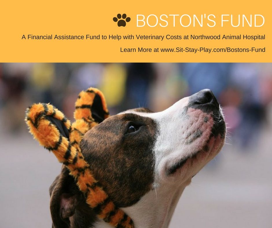 Boston's Fund financial assistance program at Northwood Animal Hospital