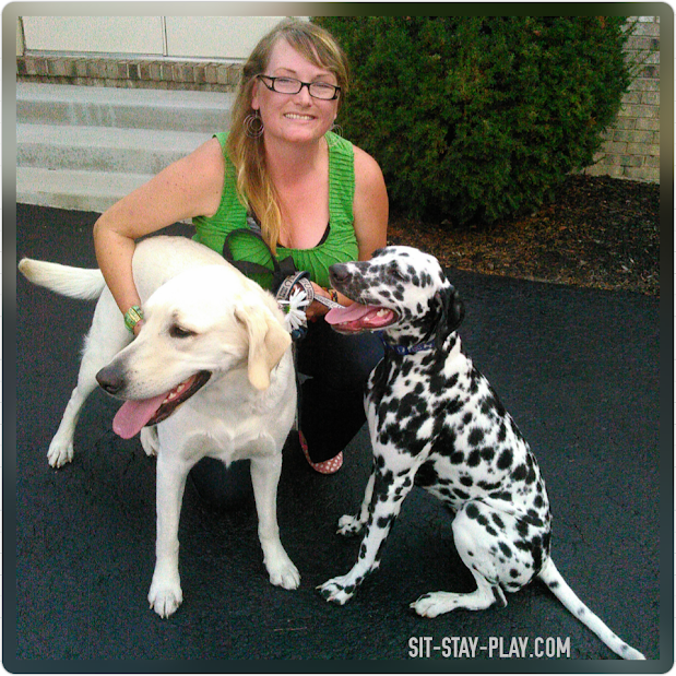 Kelley Stewart of sit-stay-play.com and a Dalmatian and a yellow Labrador dog