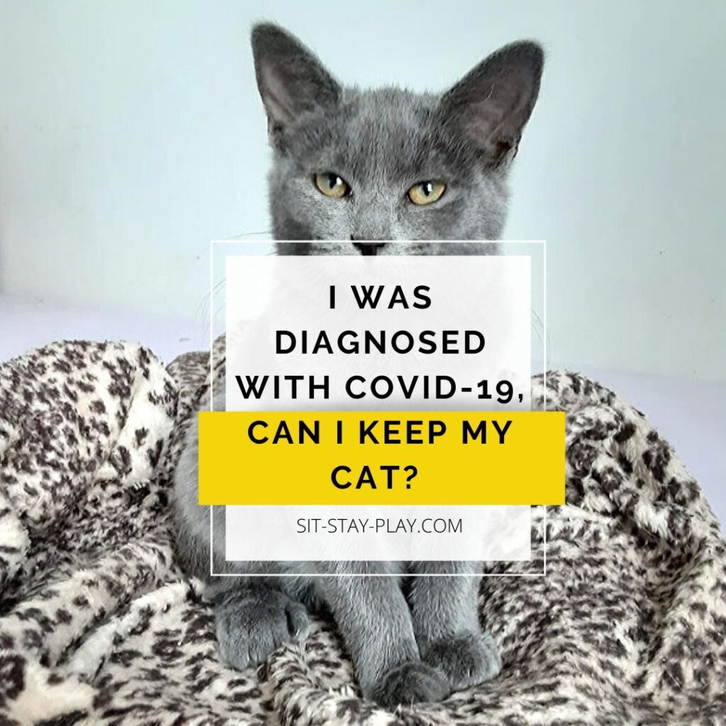 I was diagnosed with COVID19 can I keep my cat?