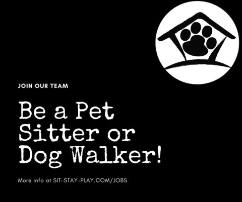 Picture saying be a pet sitter or dog walker