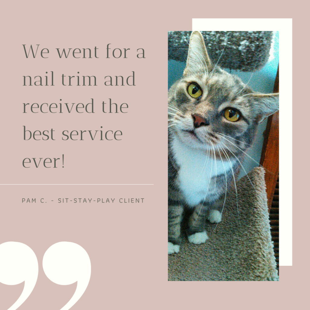 quote from a client that had her cat's nails trimmed