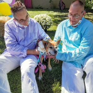 wedding day picture with a dog